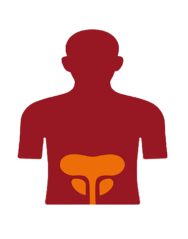 Ícone de ultrassom da próstata