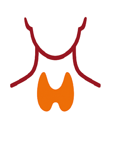 Ícone de ultrassom da tireoide